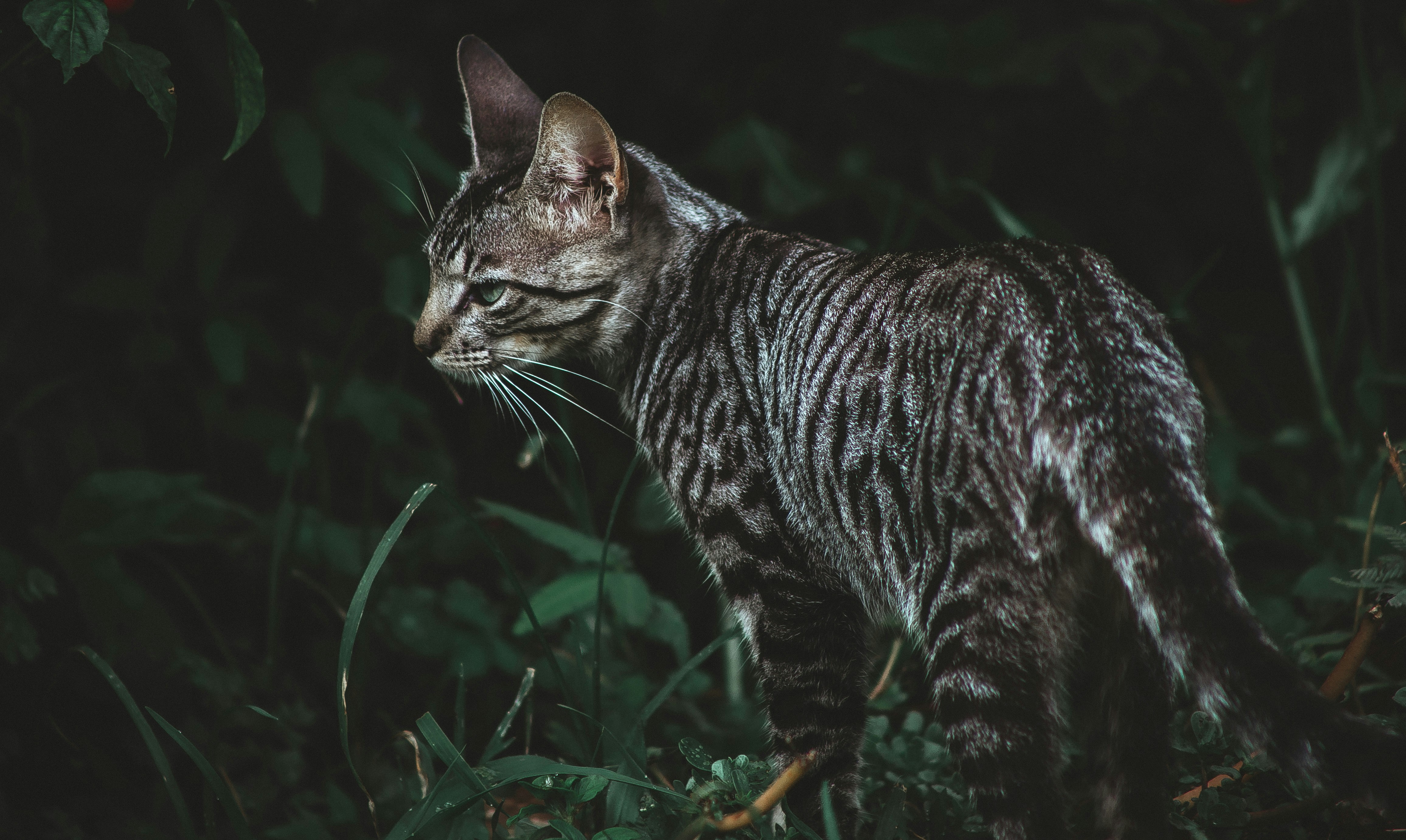 Photo by eusouomatteus