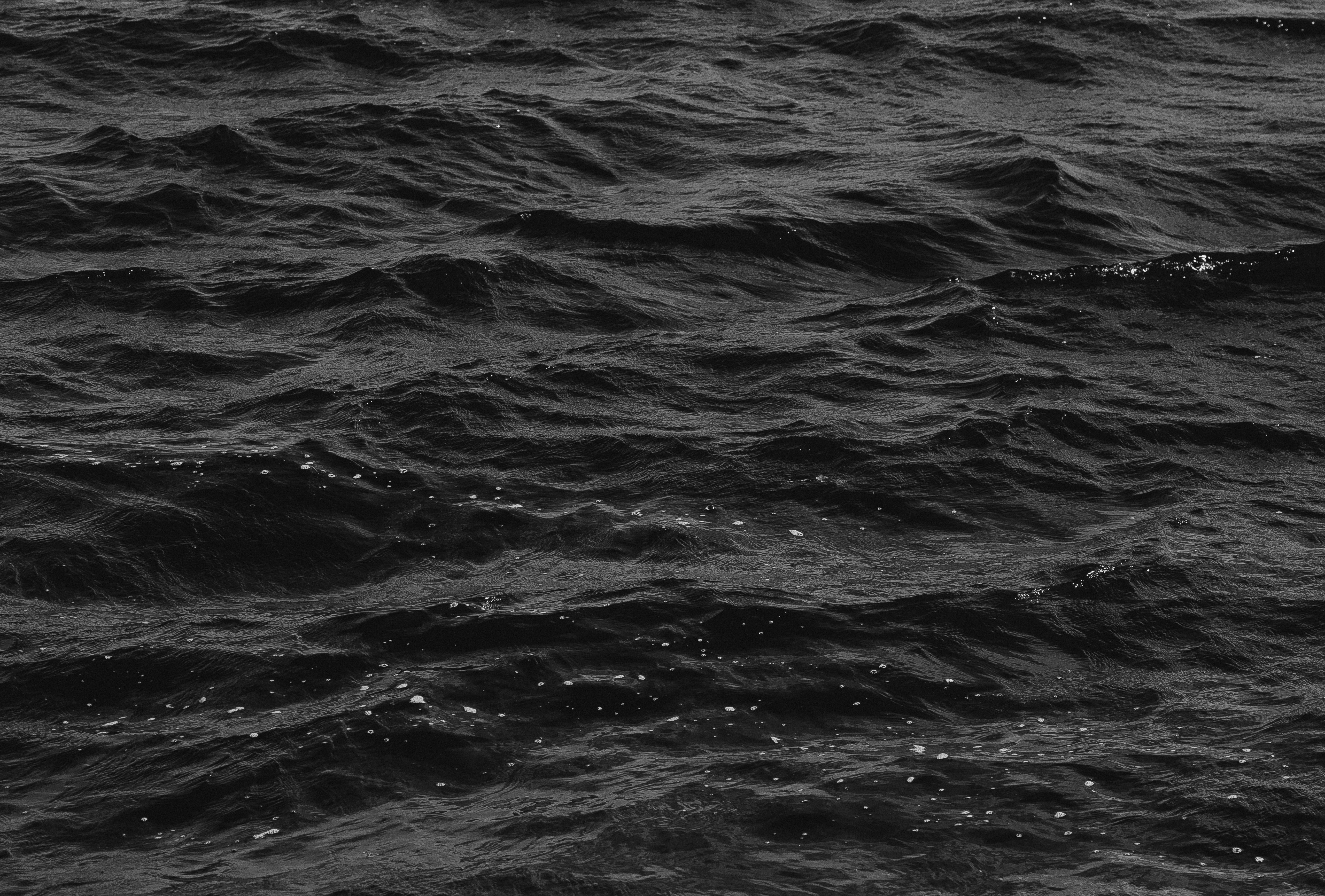 Photo by eusouomatteus