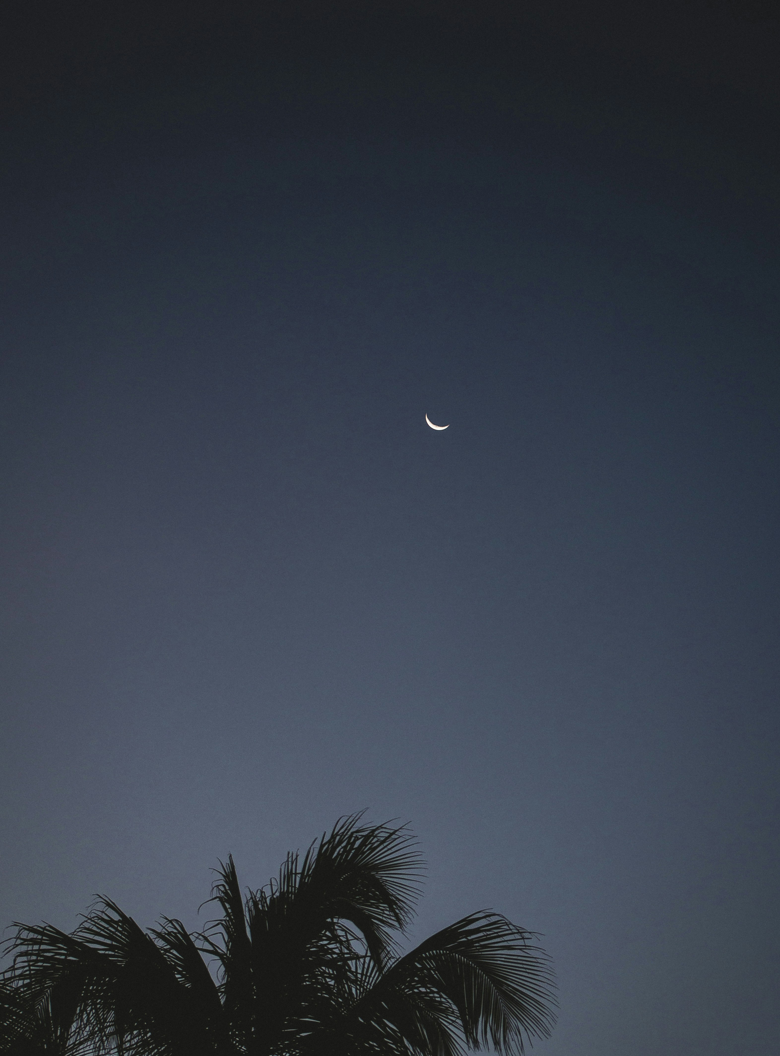 Photo by eusouomatteus