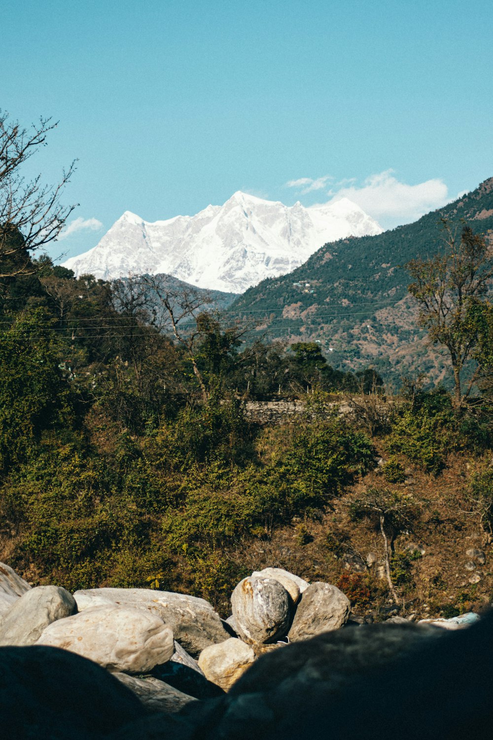 green trees and white snow covered mountain during daytime