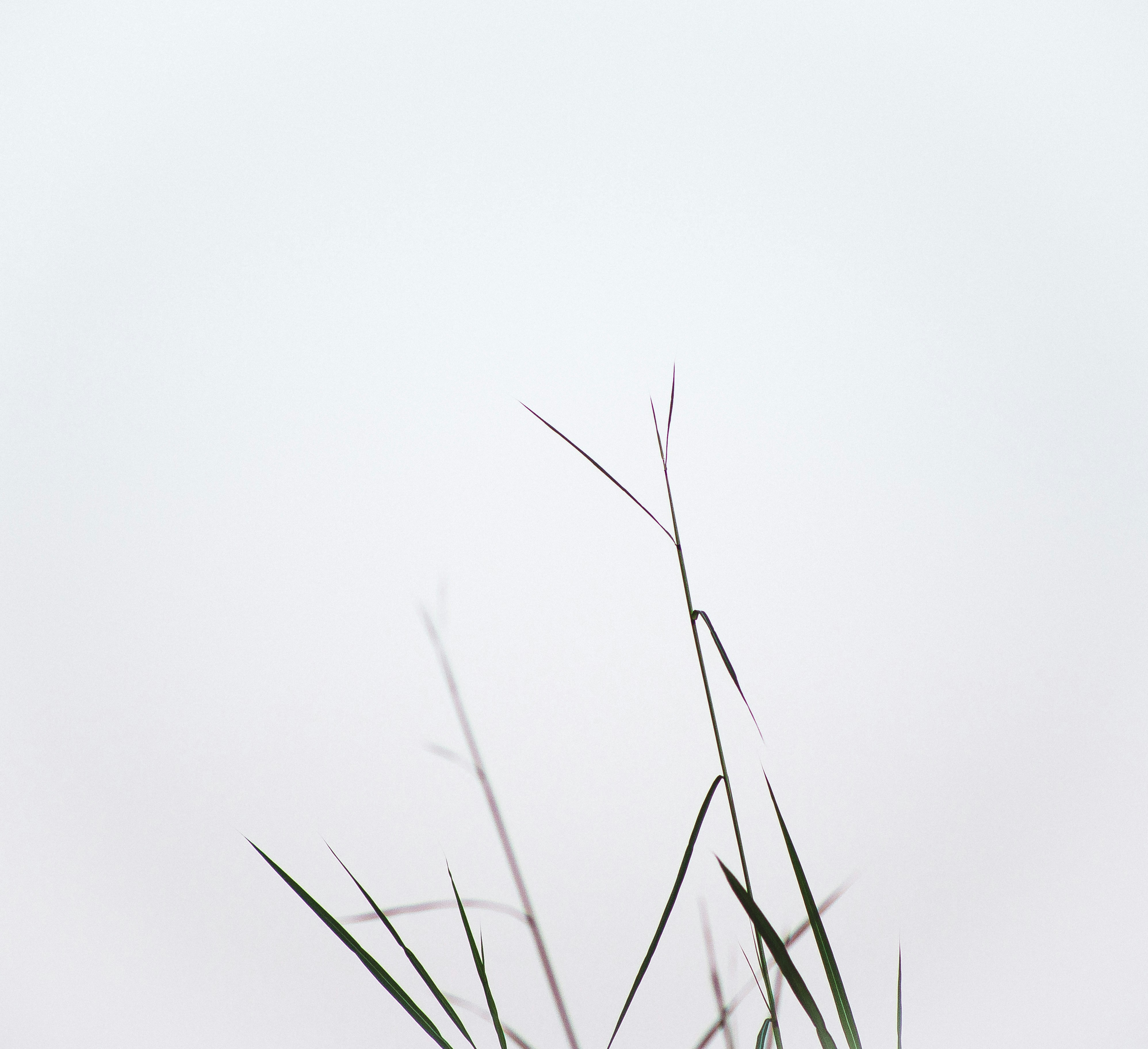 Photo by eusouomatteus