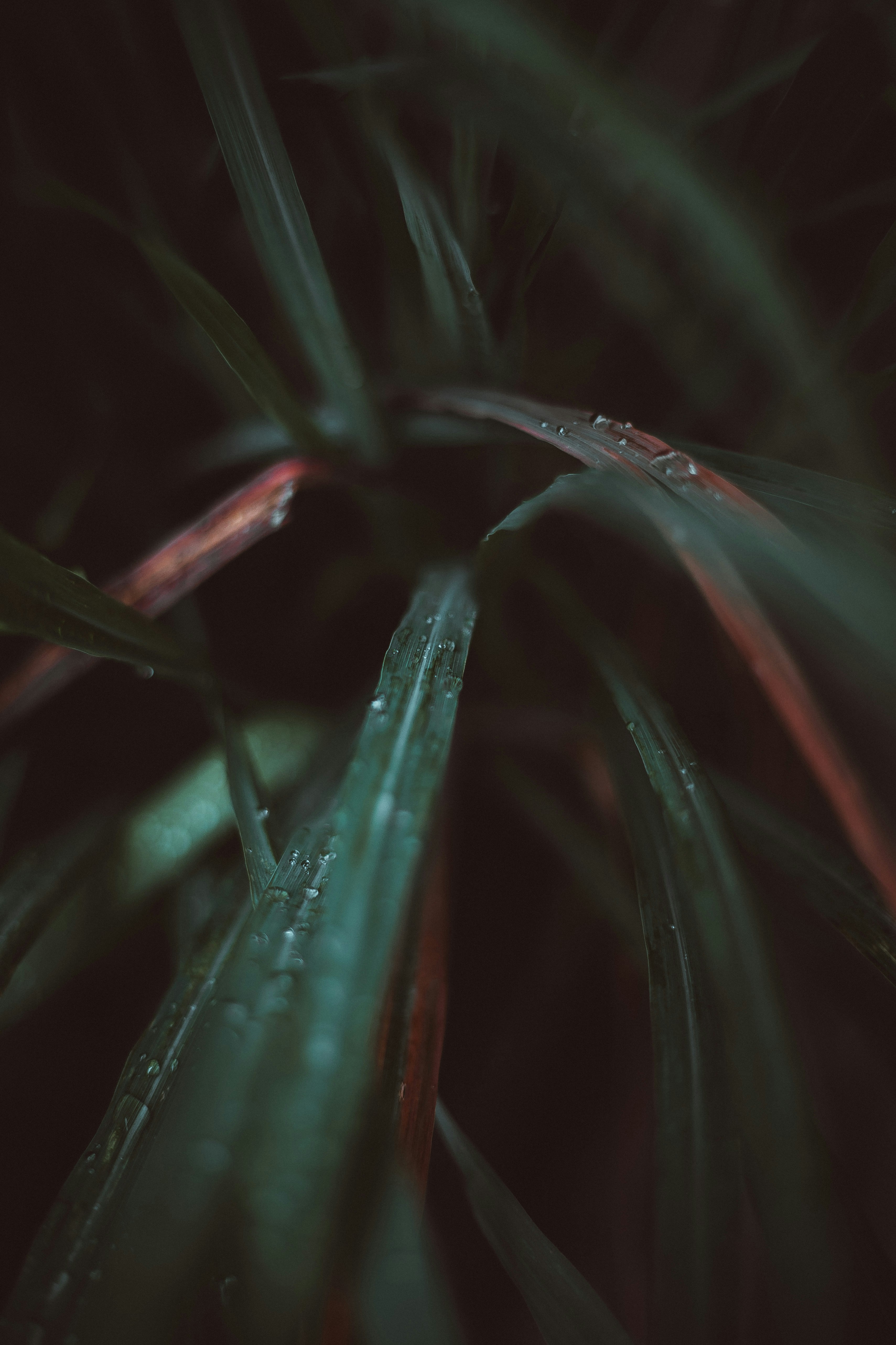 Photo by eusouomatteus