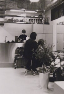 A hair salon with a person sitting on a chair, facing away, getting their hair styled or cut by a stylist. The salon has a modern and clean interior with a counter at the back, shelves with various products, and large plants in the foreground. There is another person in the background behind the counter, possibly an employee.