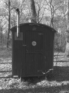 A rustic wooden shed with a chimney is situated among tall trees in a forest. The shed has a weathered appearance, and there is a sign with a number on the door. Sunlight filters through the trees, casting shadows on the ground covered with leaves.