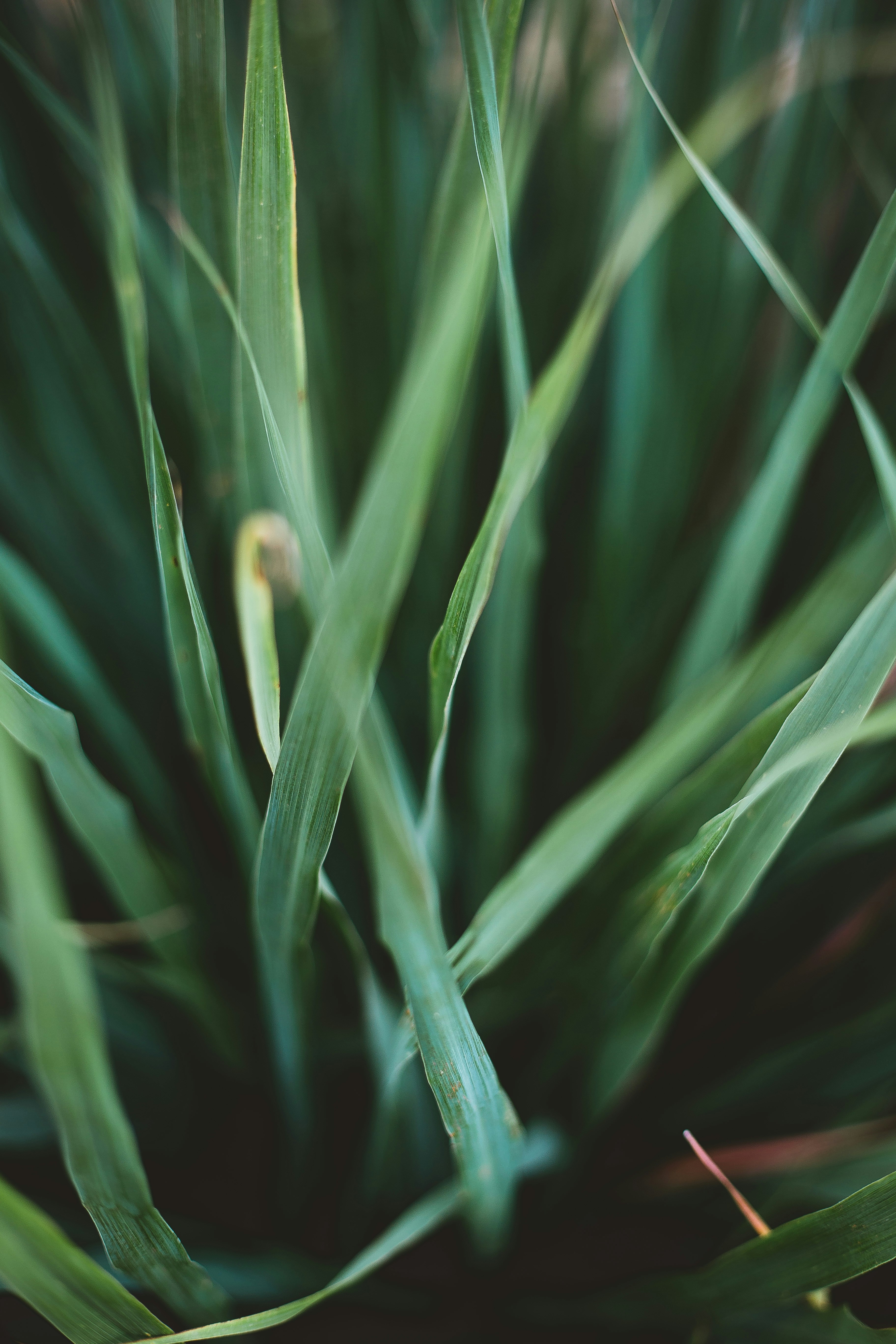 Photo by eusouomatteus