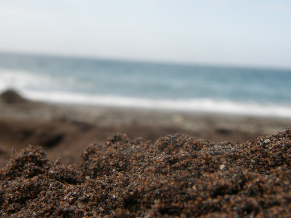 낮에는 바다 근처의 갈색 모래