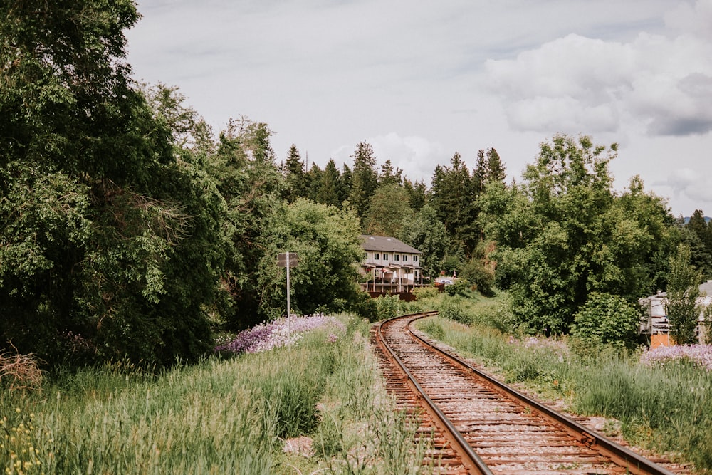 brown train rail near green trees during daytime