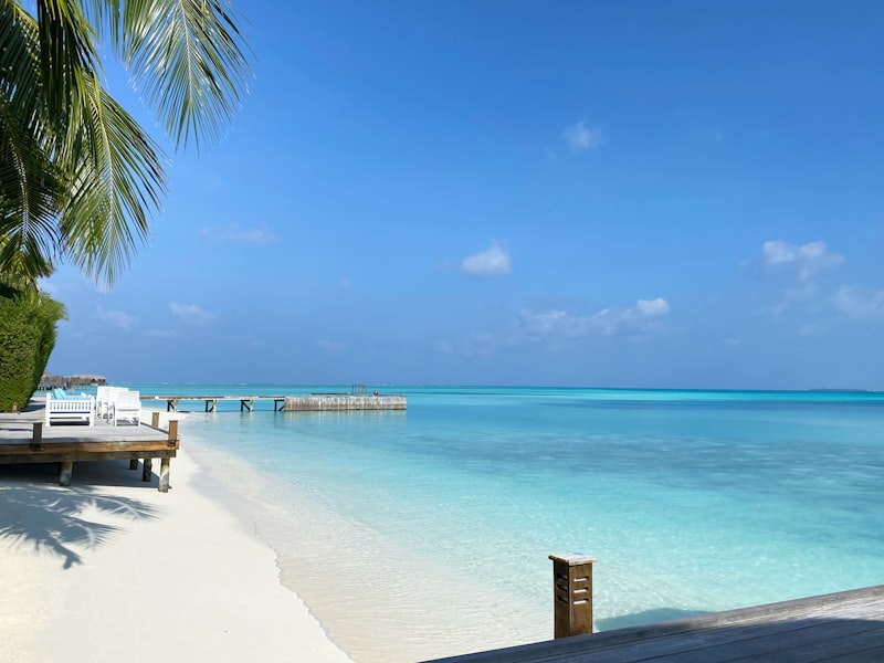 Mantarraya en aguas cristalinas