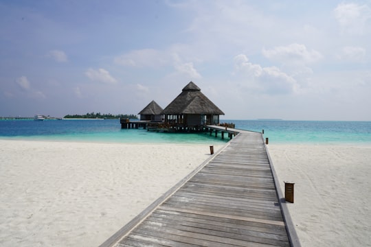 brown wooden beach house on beach during daytime in Alif Alif Atoll Maldives