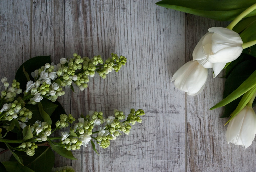 white flower on gray wooden surface