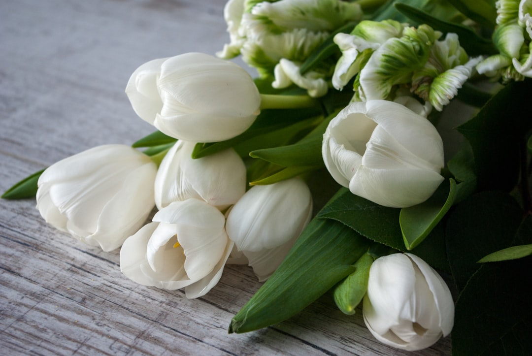 white tulips on brown wooden table