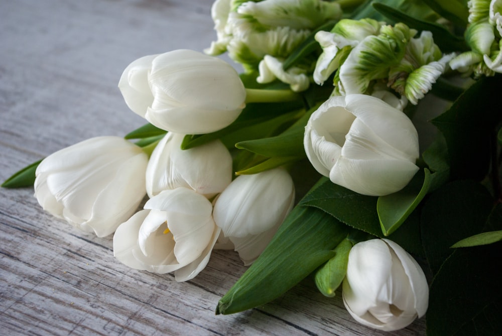 white tulips on brown wooden table