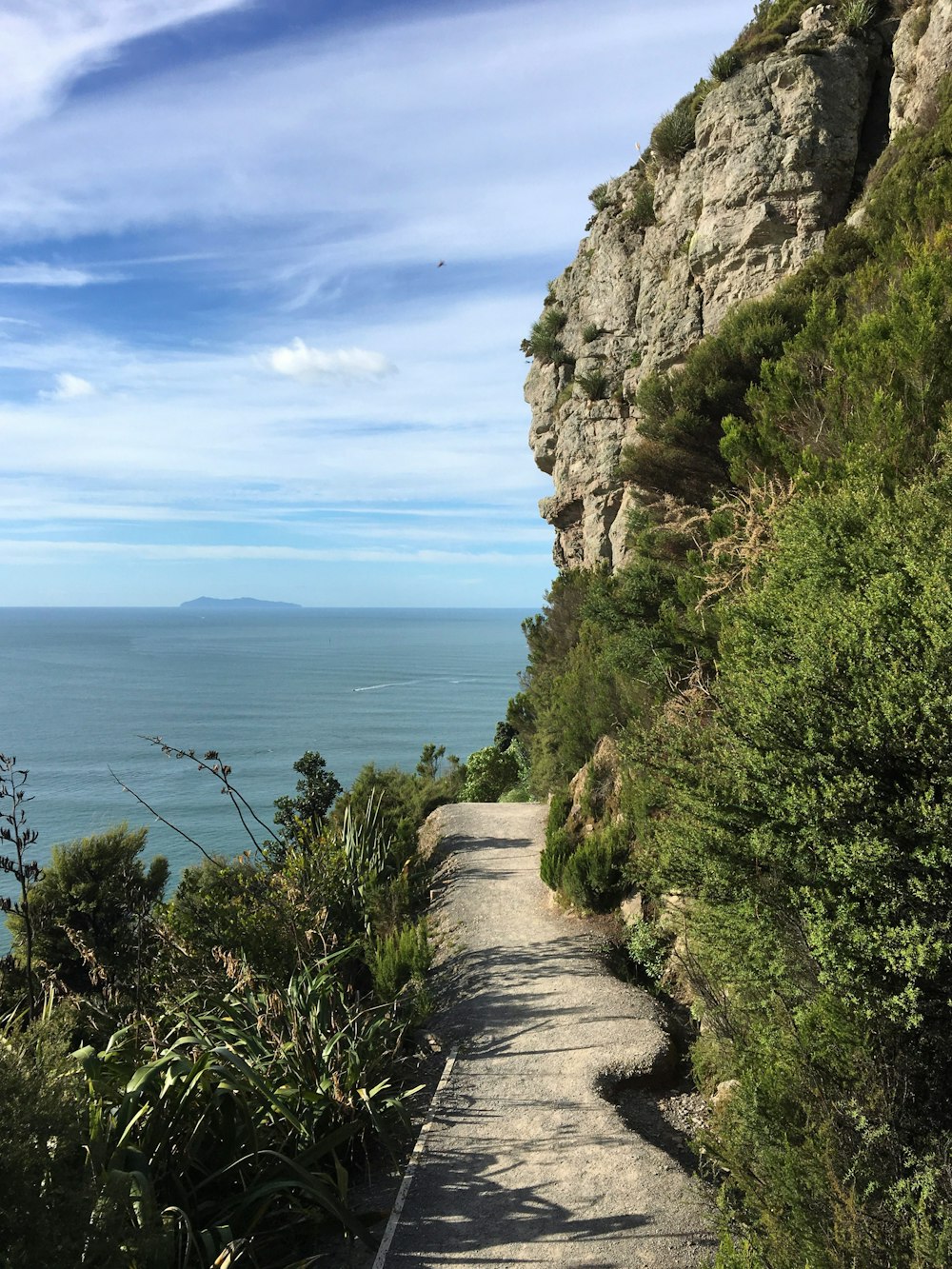 green trees on rocky mountain beside sea under blue sky during daytime