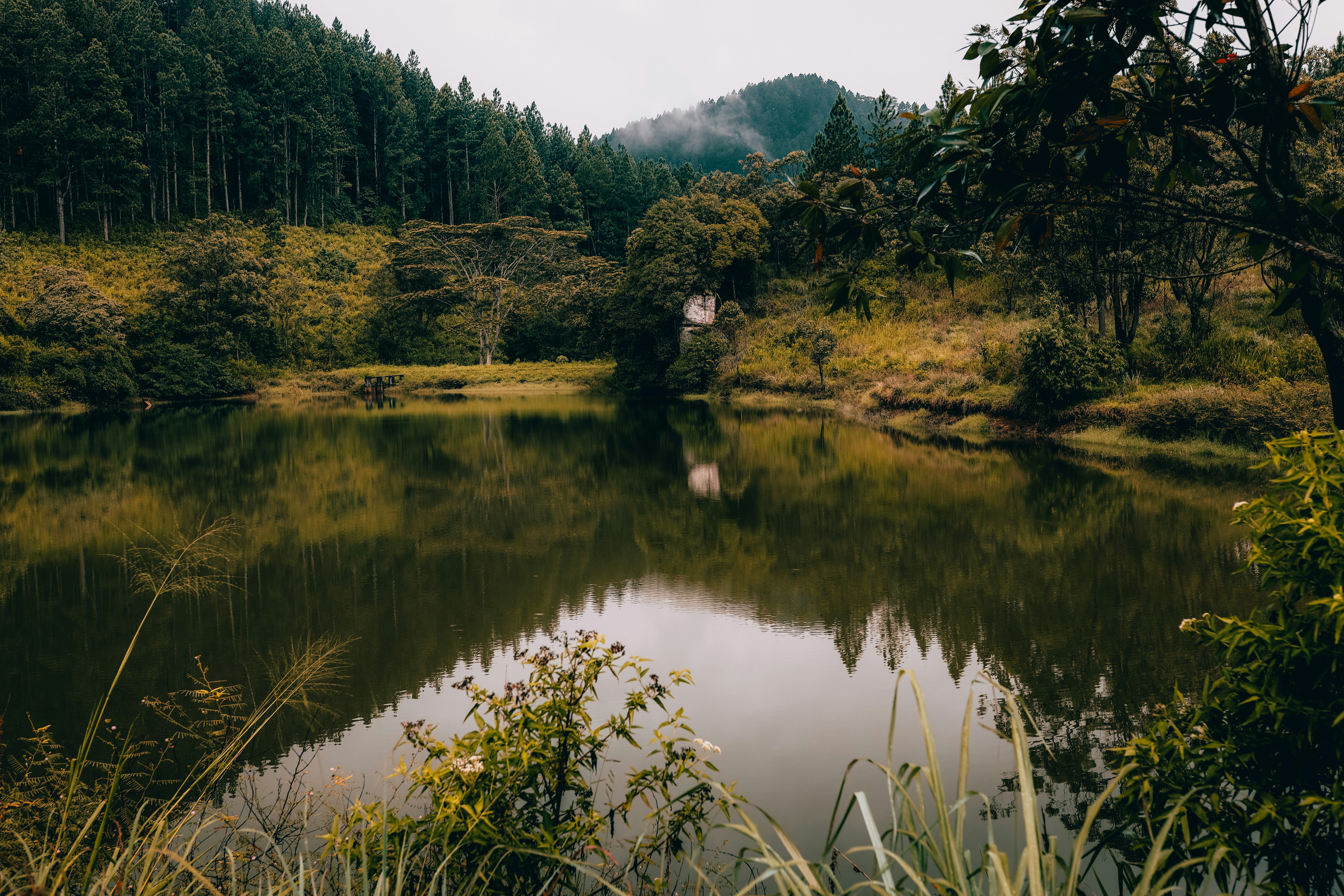 How To How Do I Sign Up For Avon To Stay Competitive