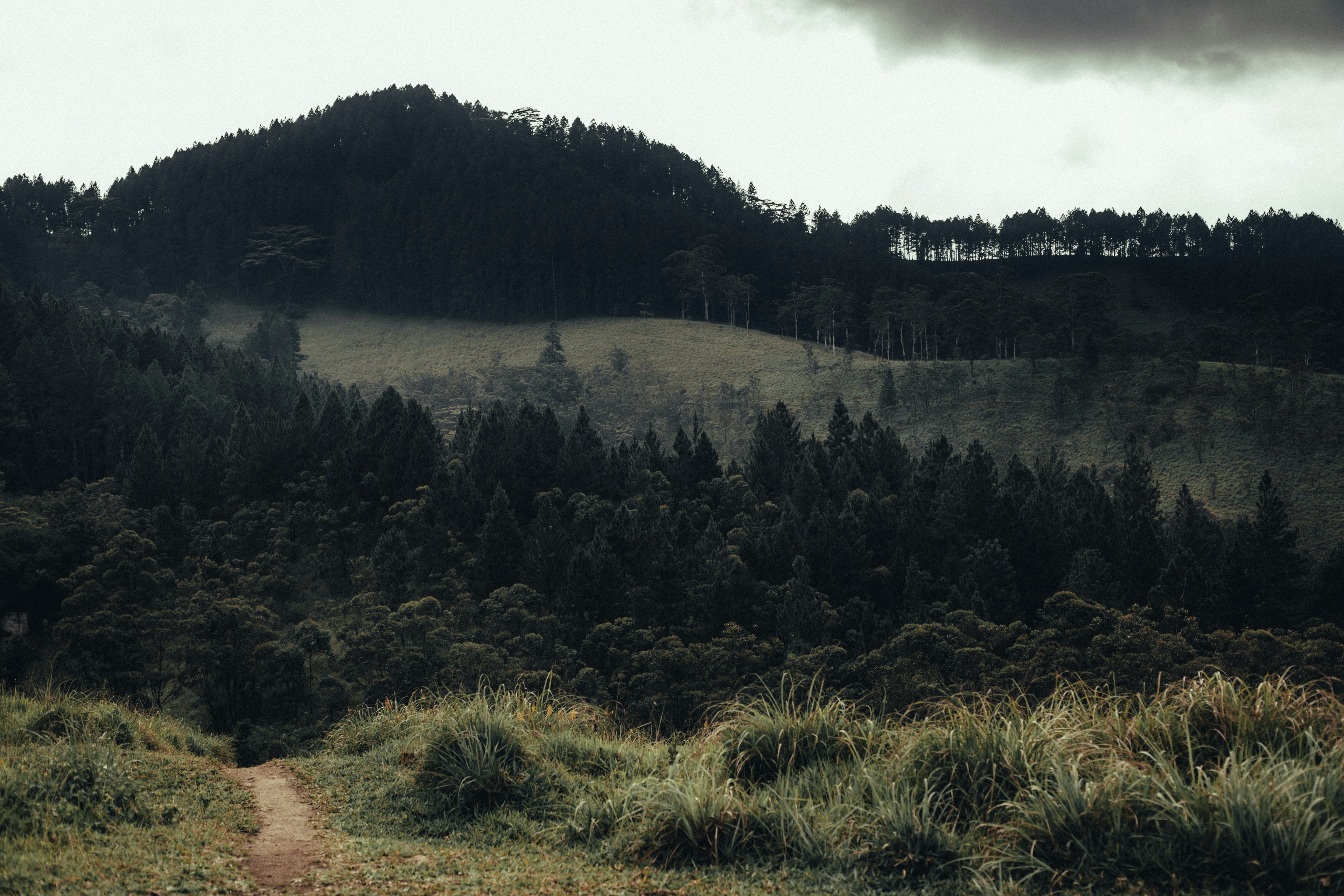 Learn About Auto Fix in Quincy MA To Produce The Proper Choices