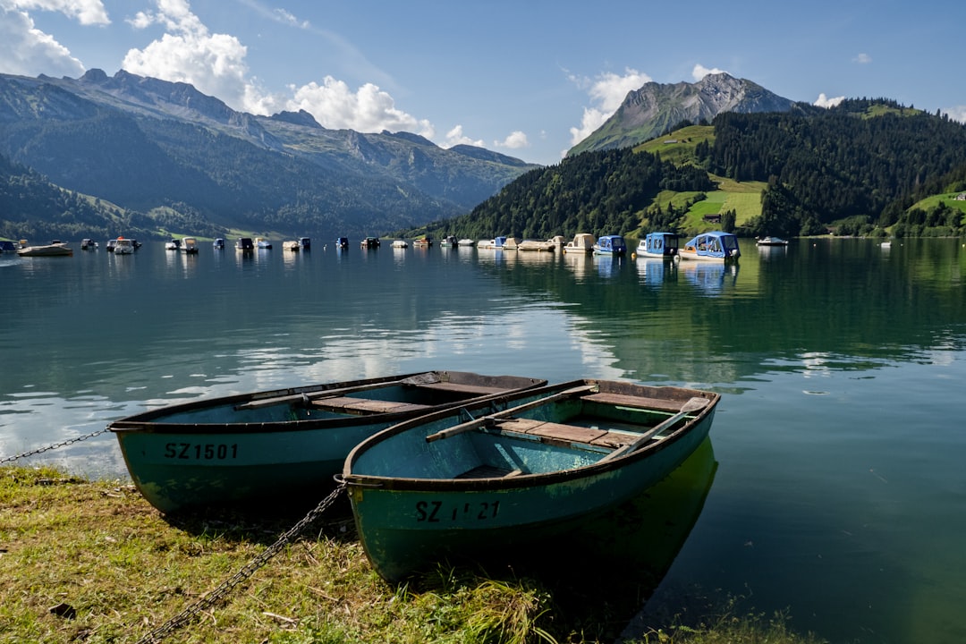 blue and brown boat on green grass near body of water during daytime