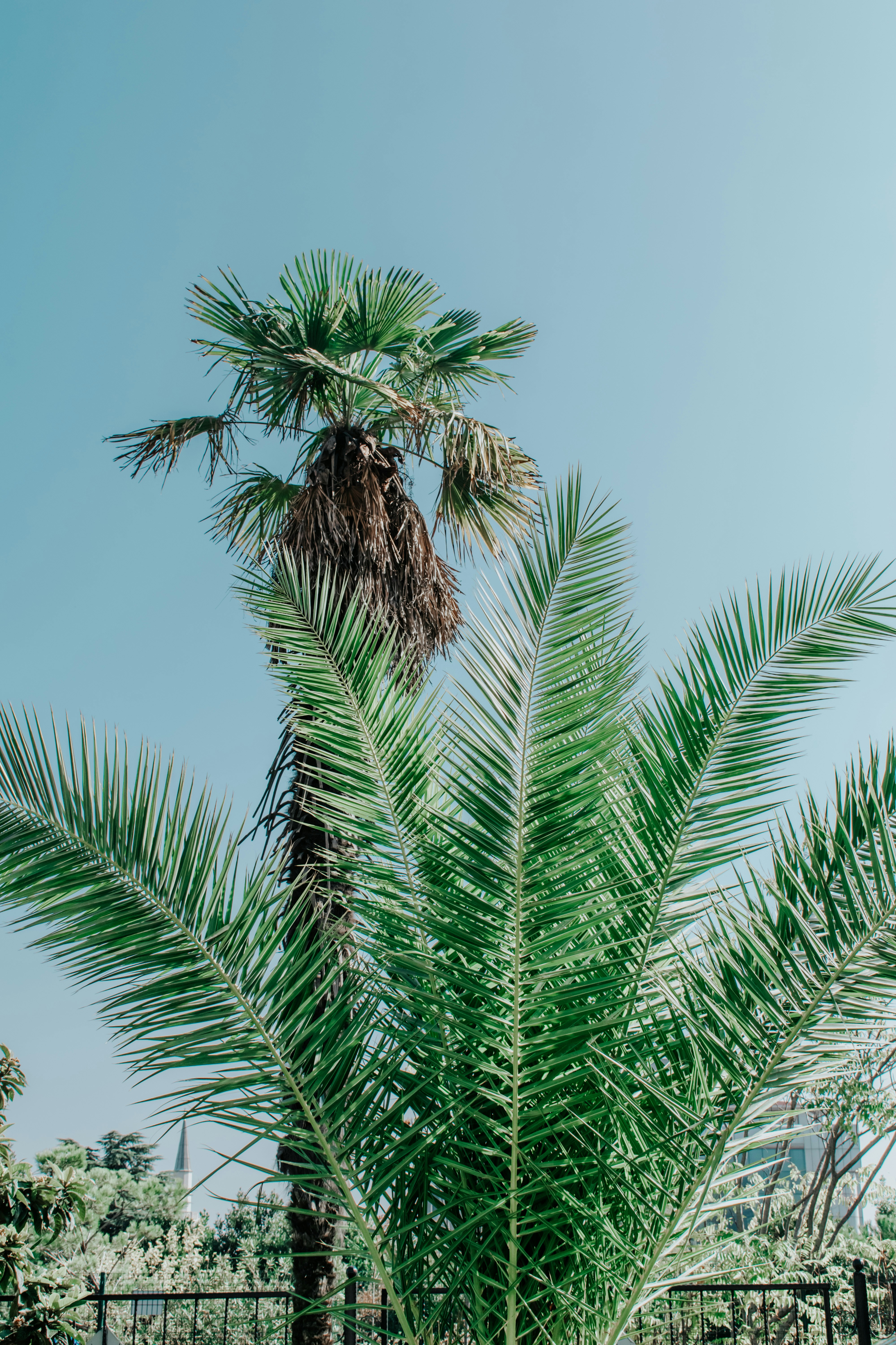 Photo by ceydaciftci