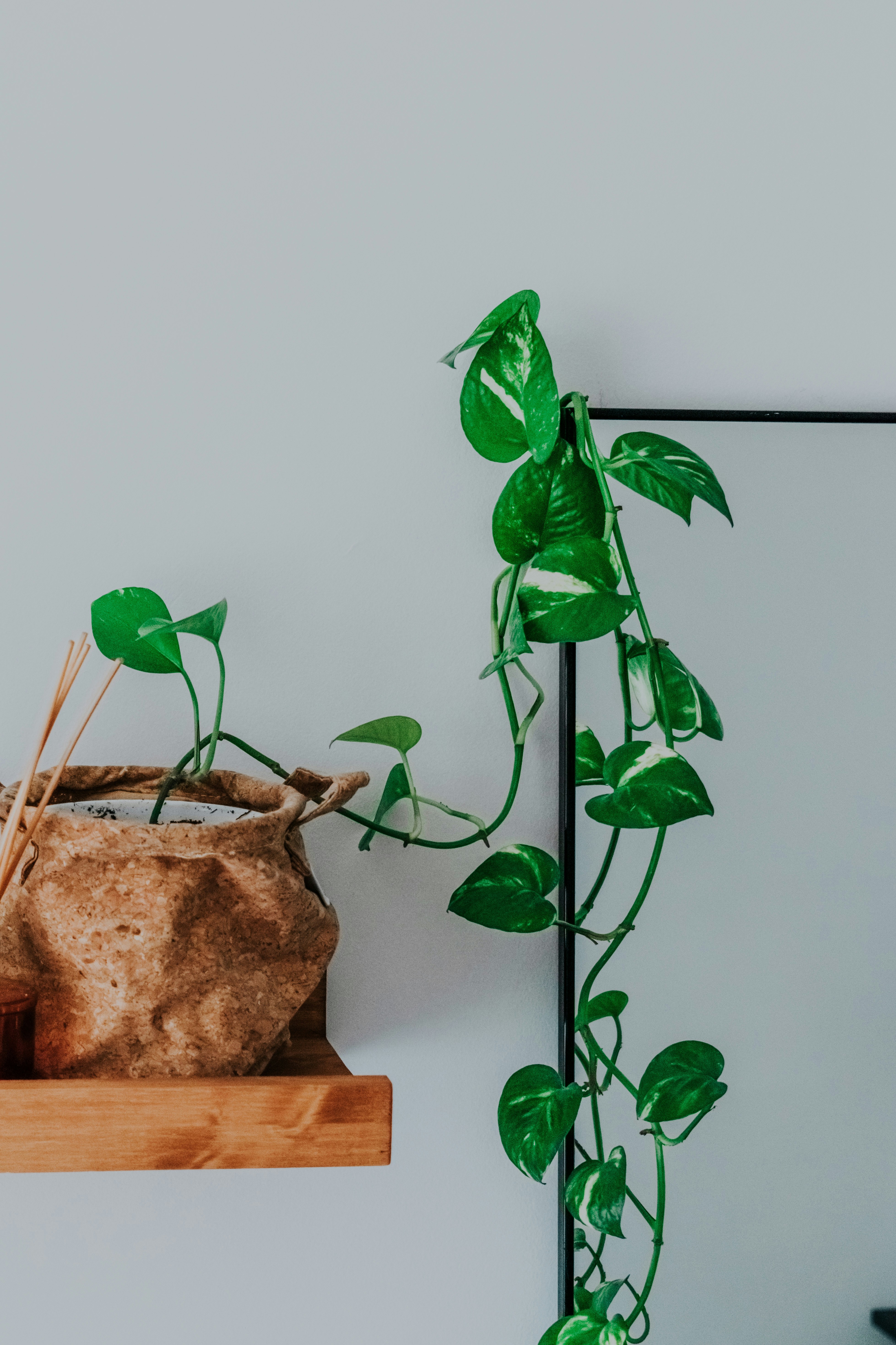 Photo by ceydaciftci