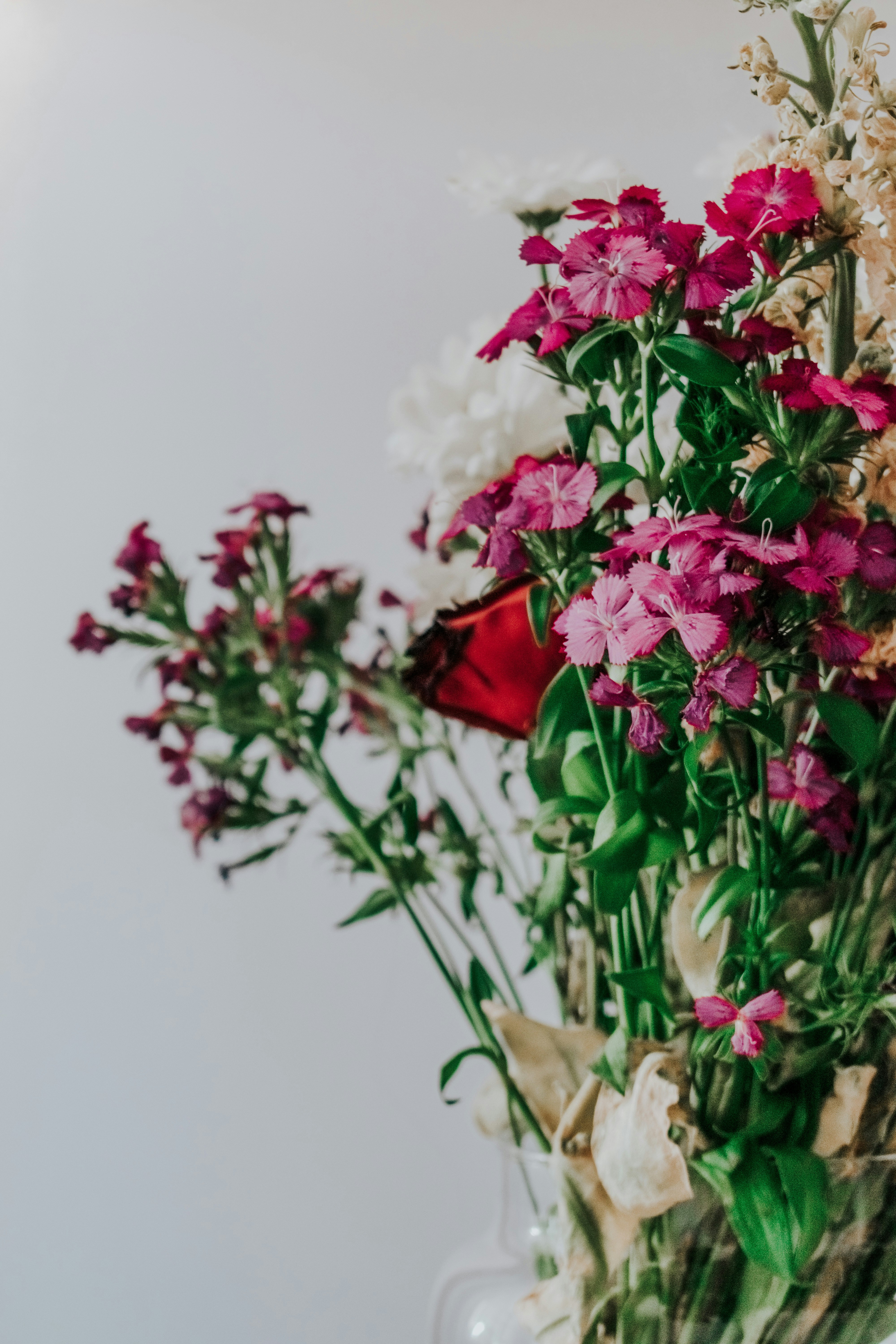 Photo by ceydaciftci