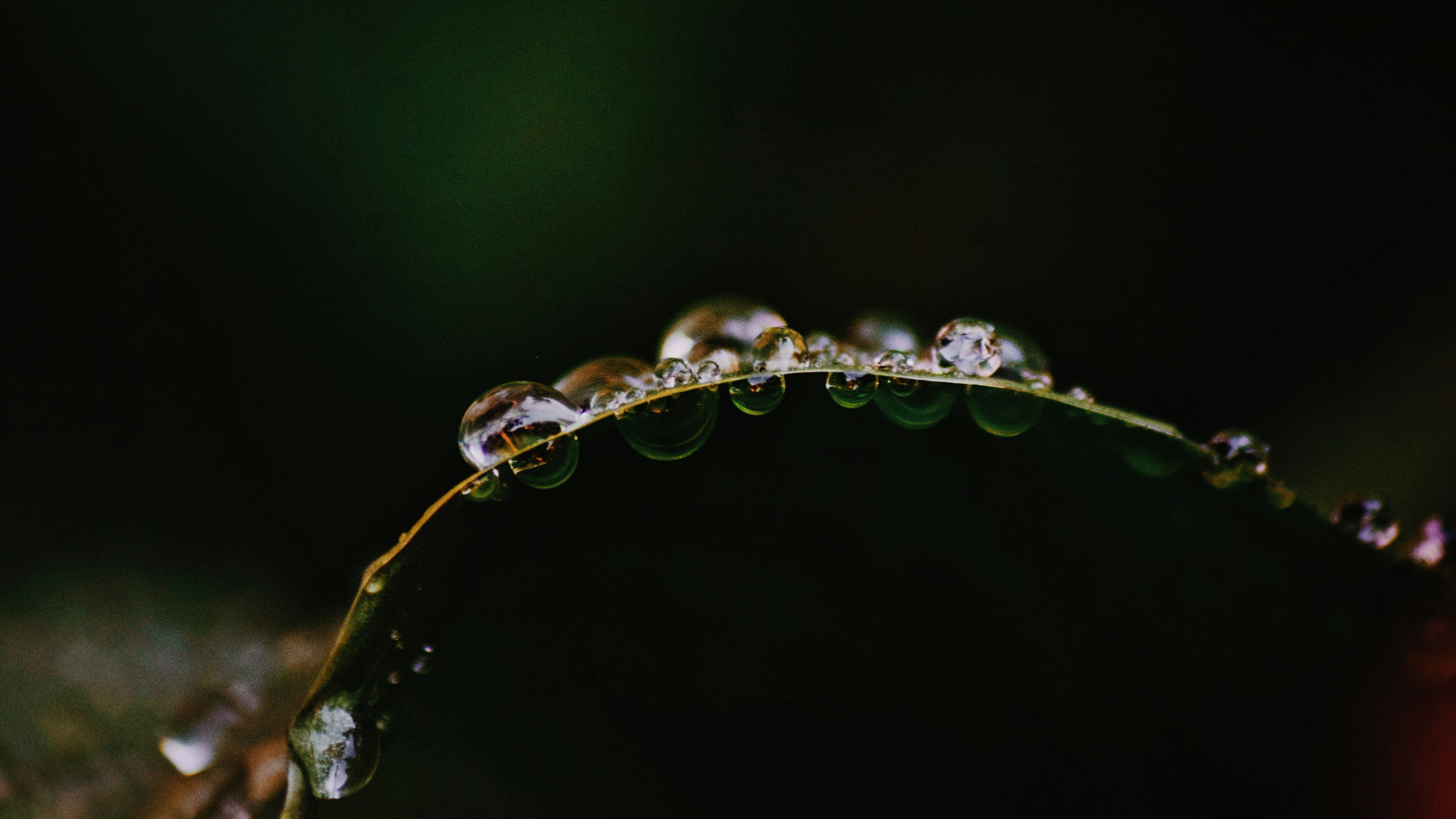 Remapping Automobiles to obtain more Power, MPG and Drivability