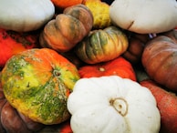 A collection of various pumps arranged for display.