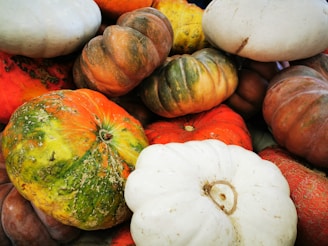 A collection of various pumps arranged for display.