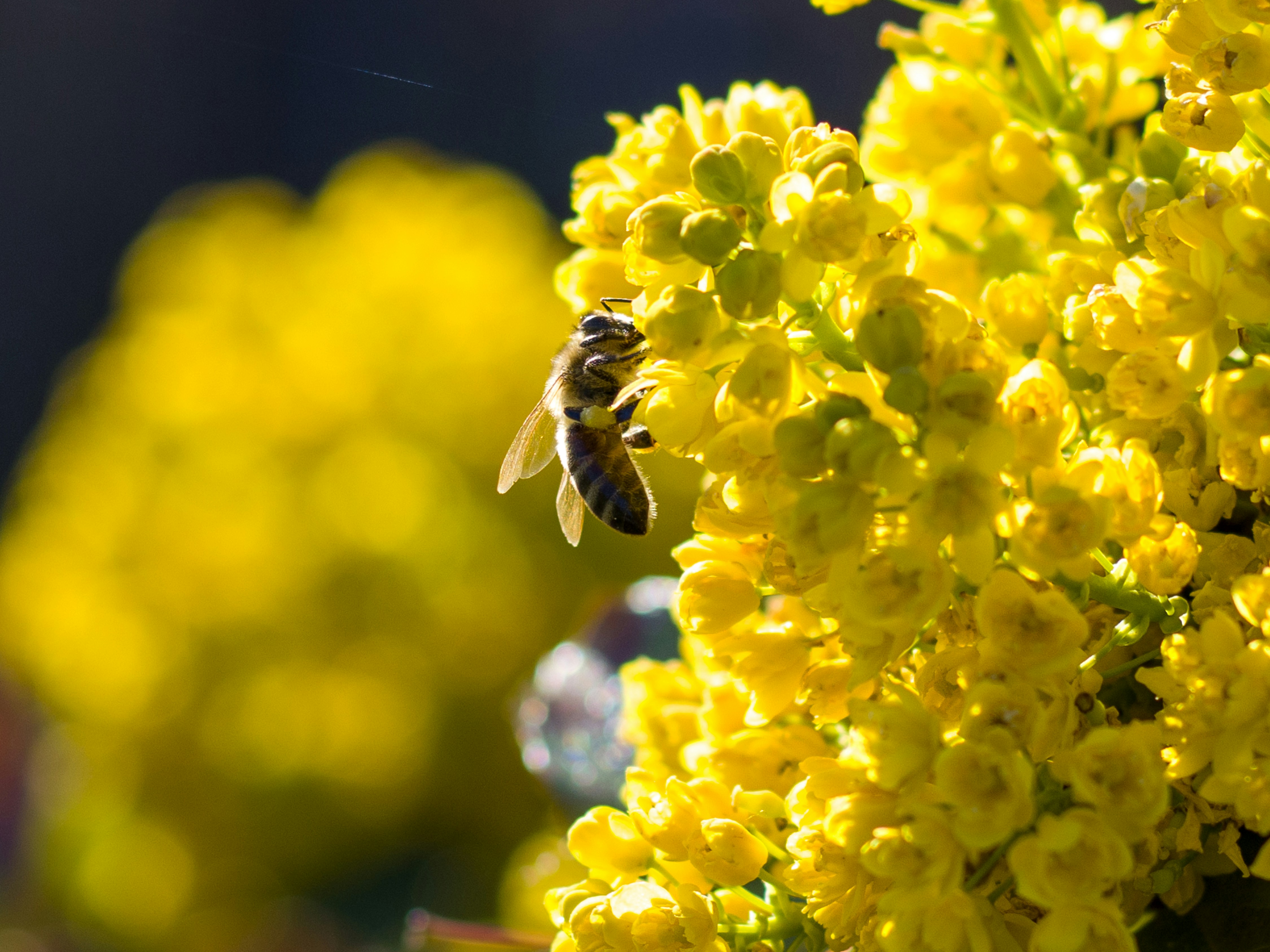 Photo by uin84917798