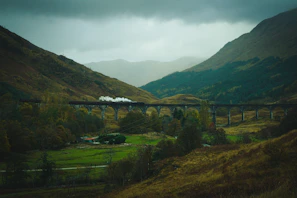 Historic photo of a steam train passing through Enon Valley surrounded by lush greenery