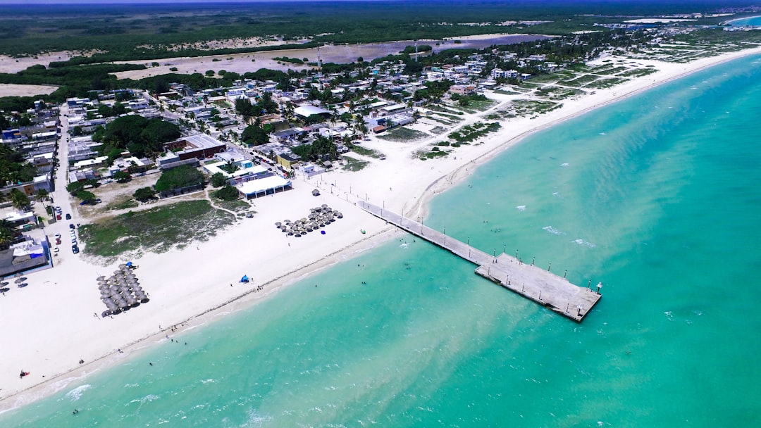 Environmental and Social Impacts on the Coastal Region — Mexico Blocks Major Cruise Line Beach