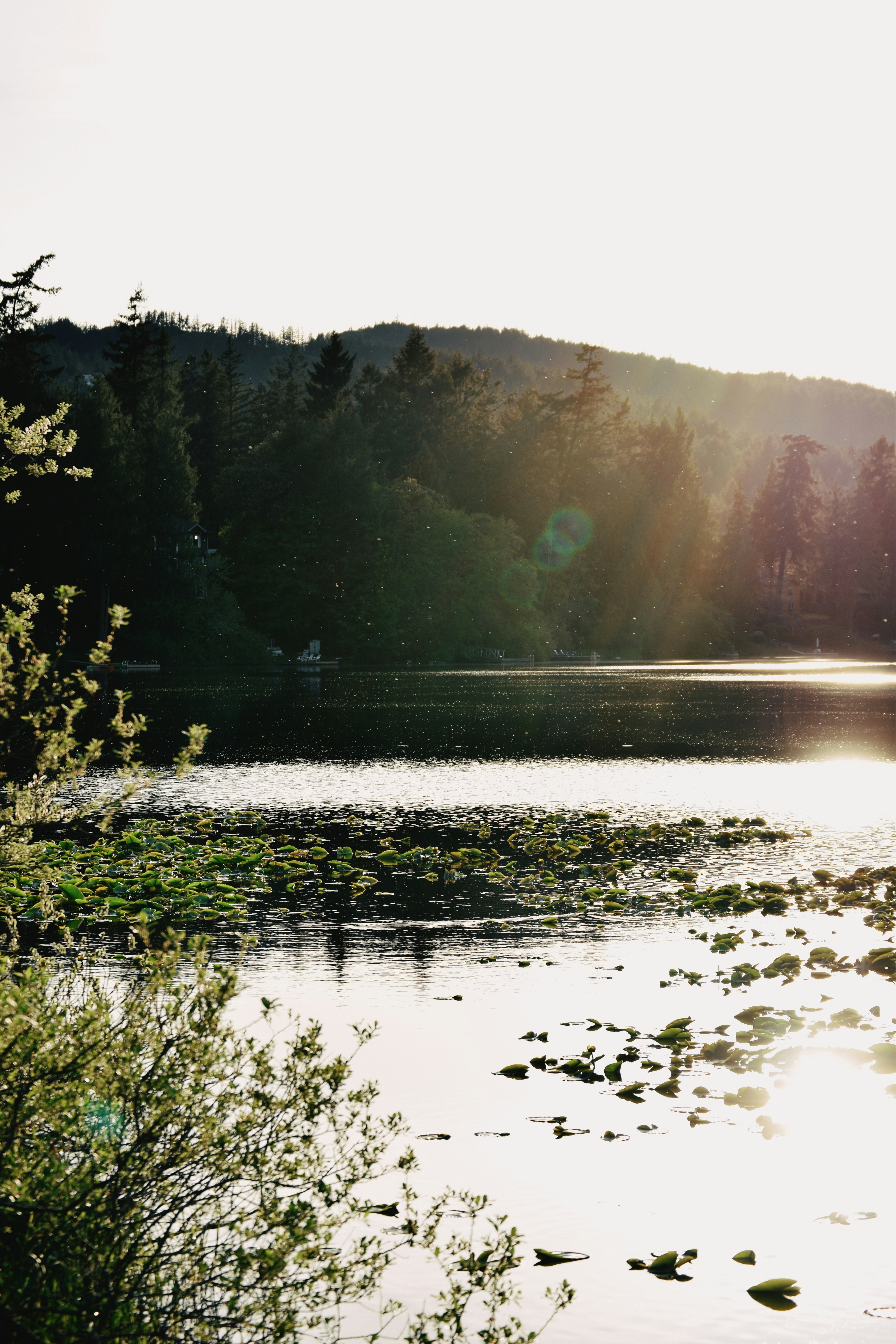 Photo by nicoletarasuk