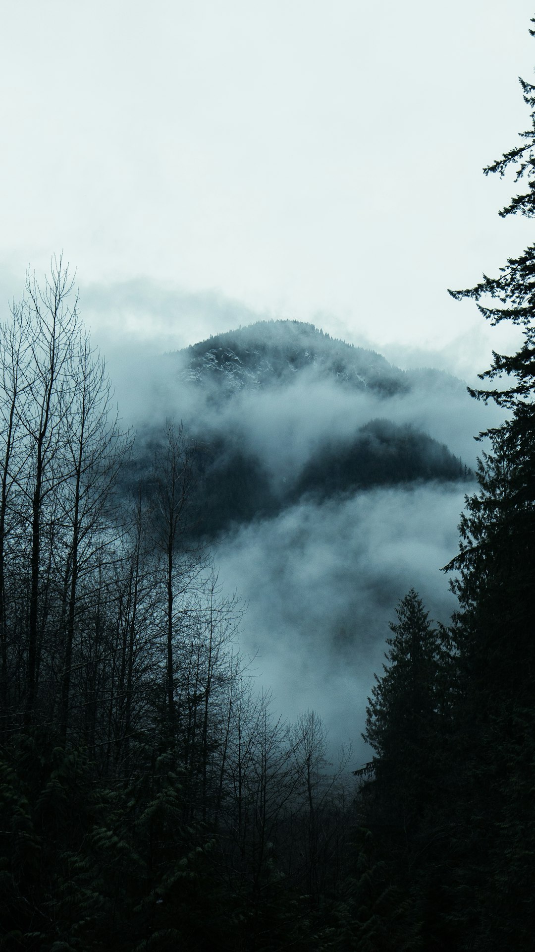 green trees on mountain under white clouds