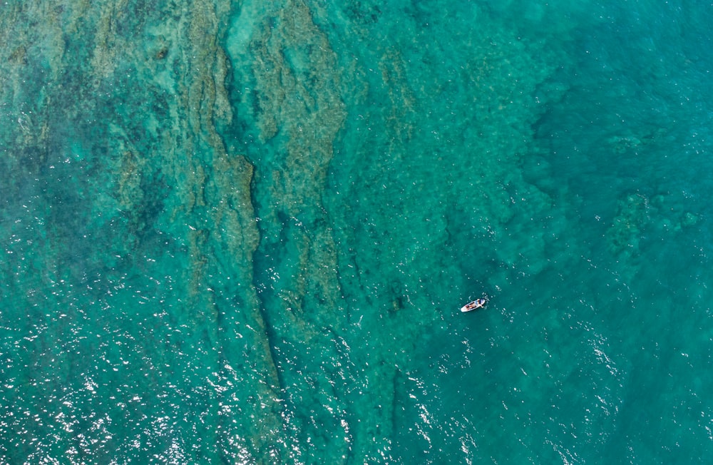 aerial view of people surfing on sea during daytime