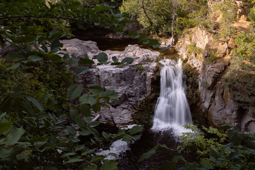 water falls in the middle of the forest