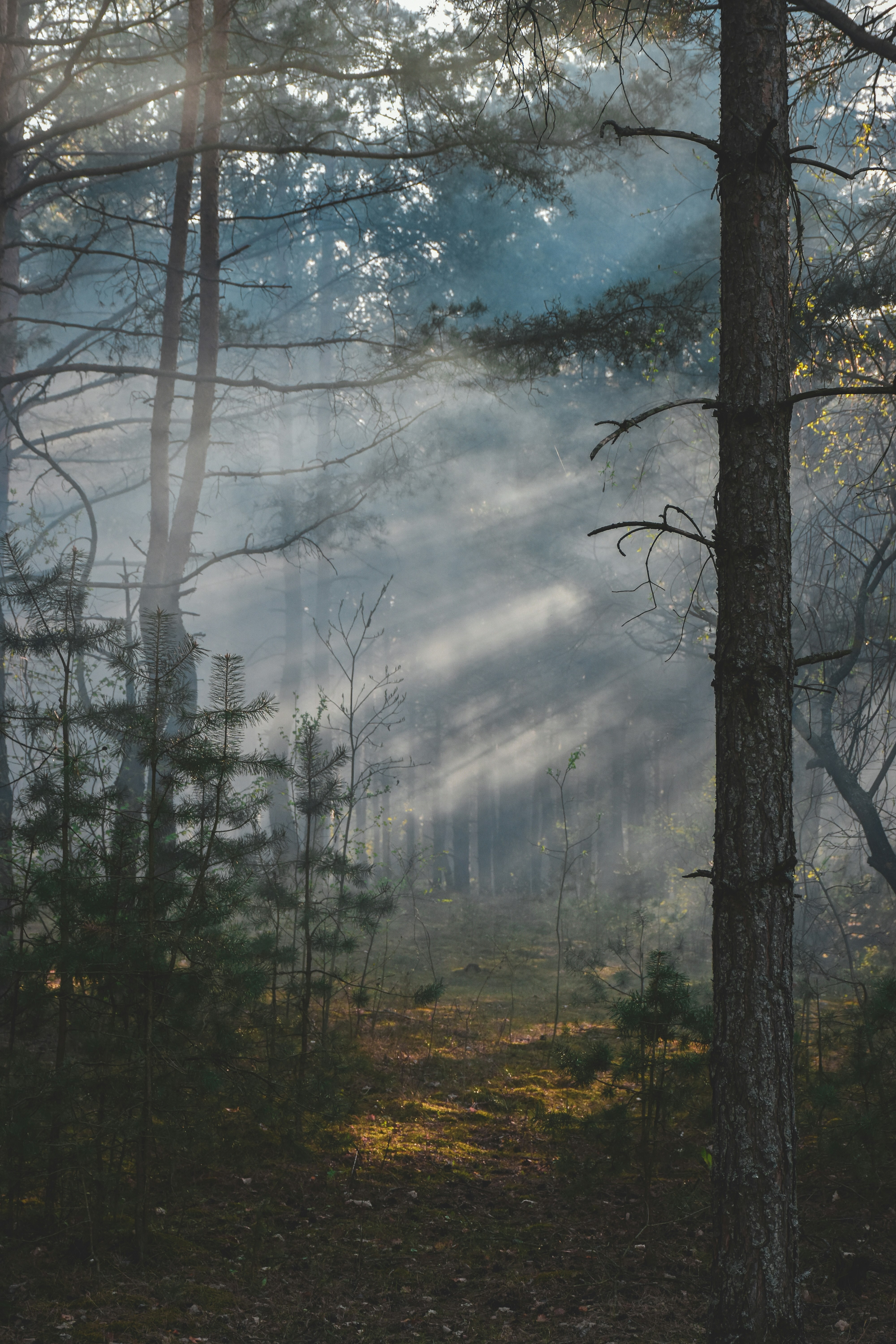 Photo by artem_makarov