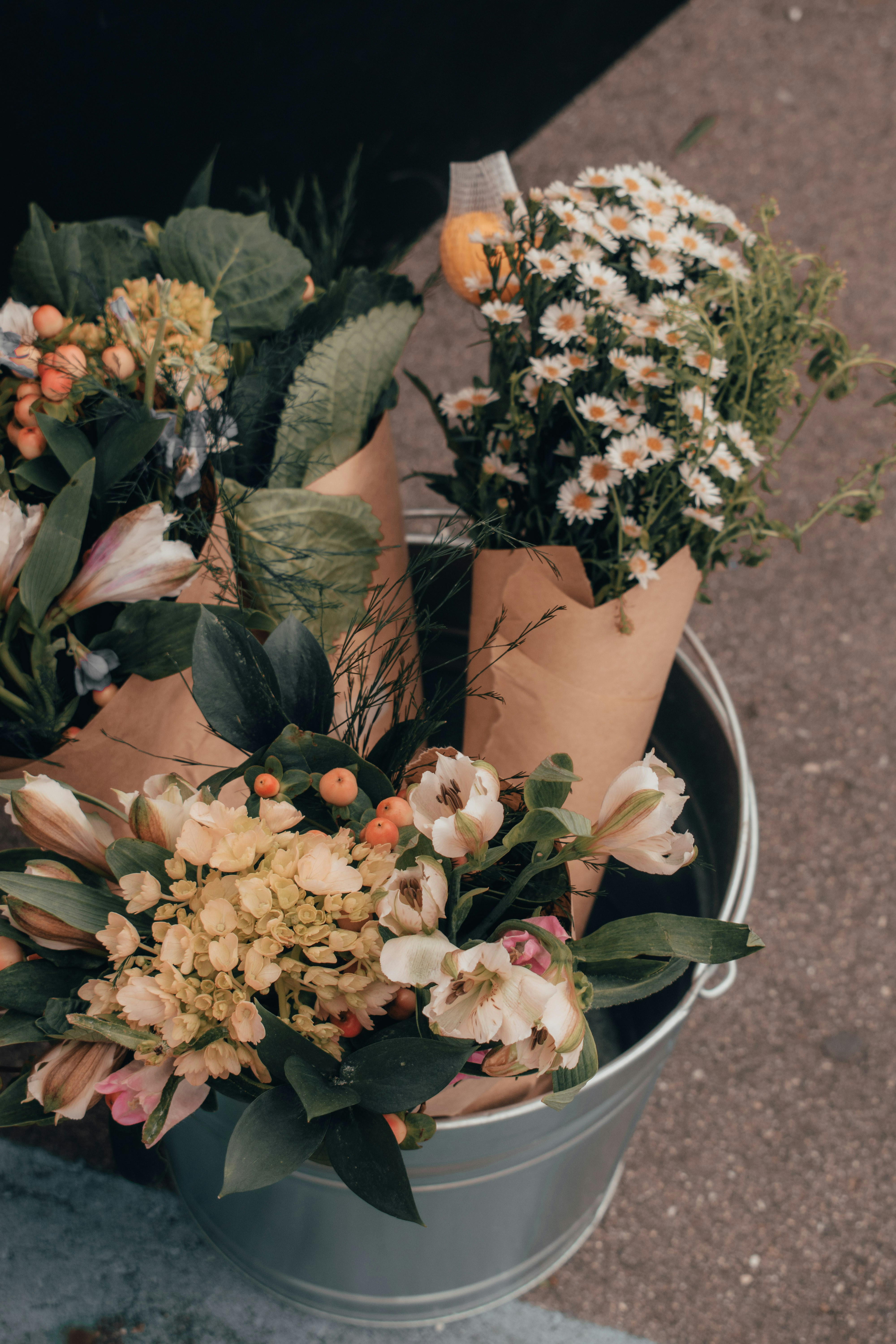 Photo by mariahhewines