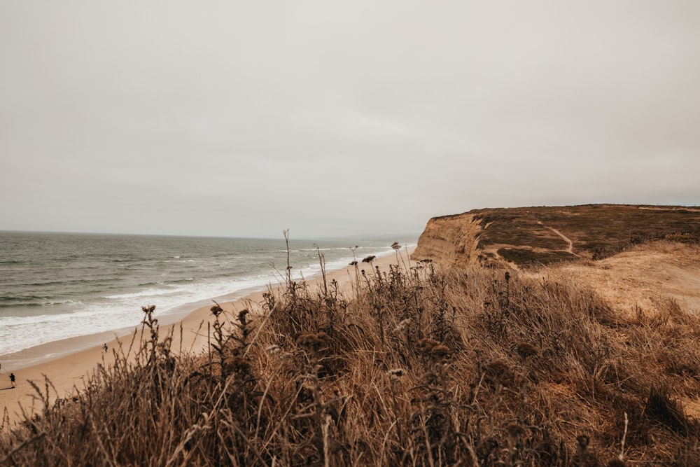 brown sand beach during daytime