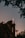 A brick church with a prominent illuminated cross atop its roof, surrounded by silhouetted trees against a dusky sky.