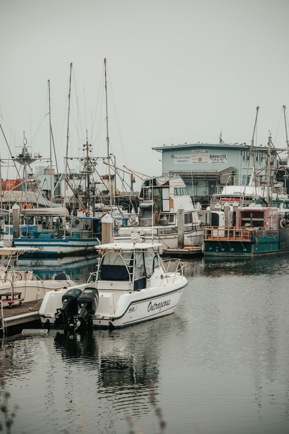 white and blue boat on dock during daytime