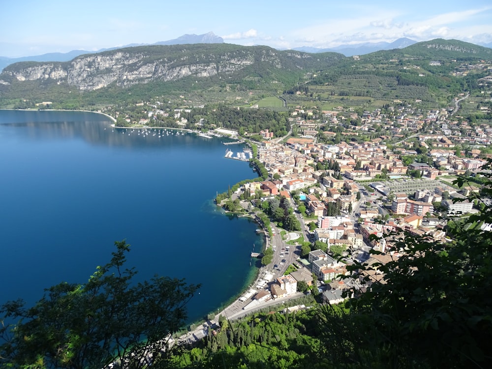 aerial view of city near body of water during daytime