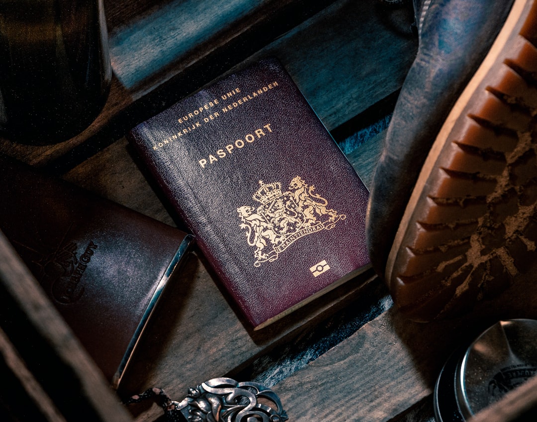 Streamlining Passport Renewals A Hassle-Free Process Awaits in 2024