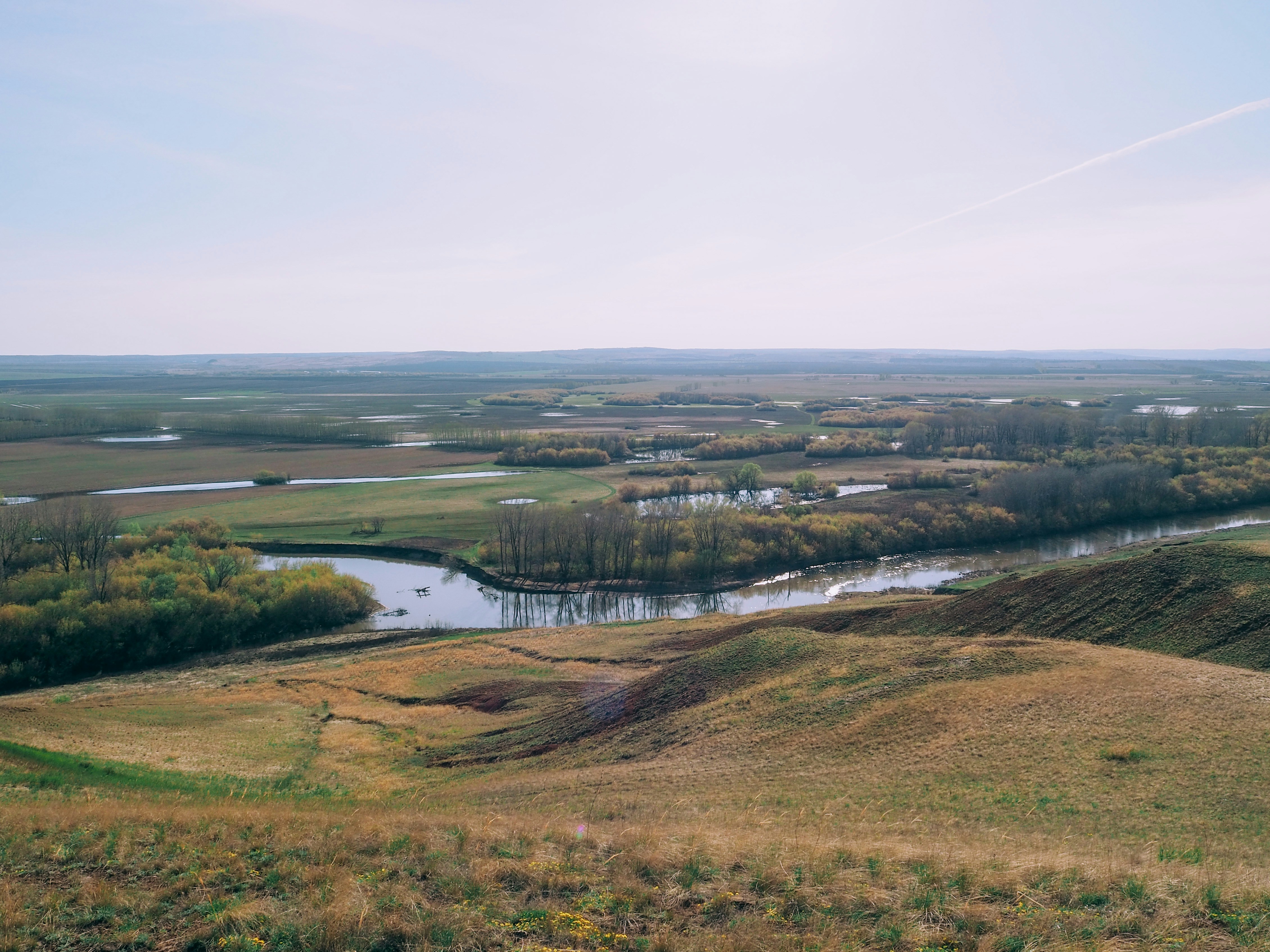 Photo by whoisrobinhood