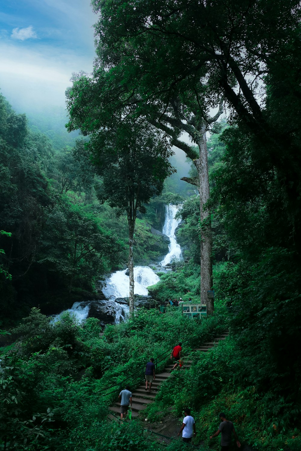 550+ Nature Of India Pictures | Download Free Images on Unsplash