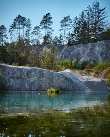 green trees beside body of water during daytime
