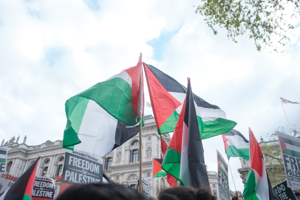 people walking on street with flags during daytime