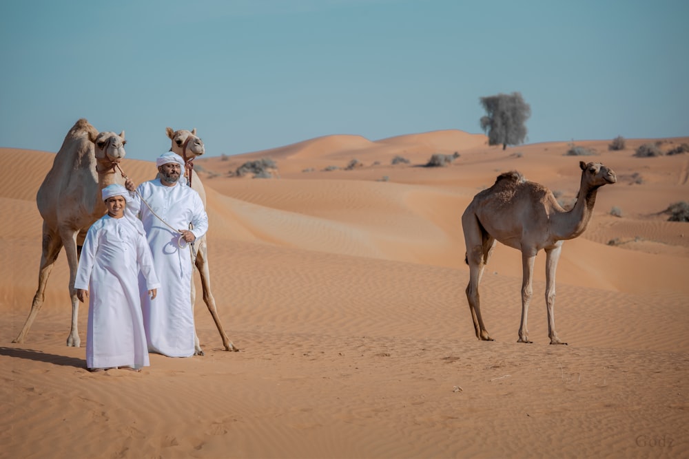 낮 동안 사막에서 낙타 옆에 서 있는 흰 드레스를 입은 여자