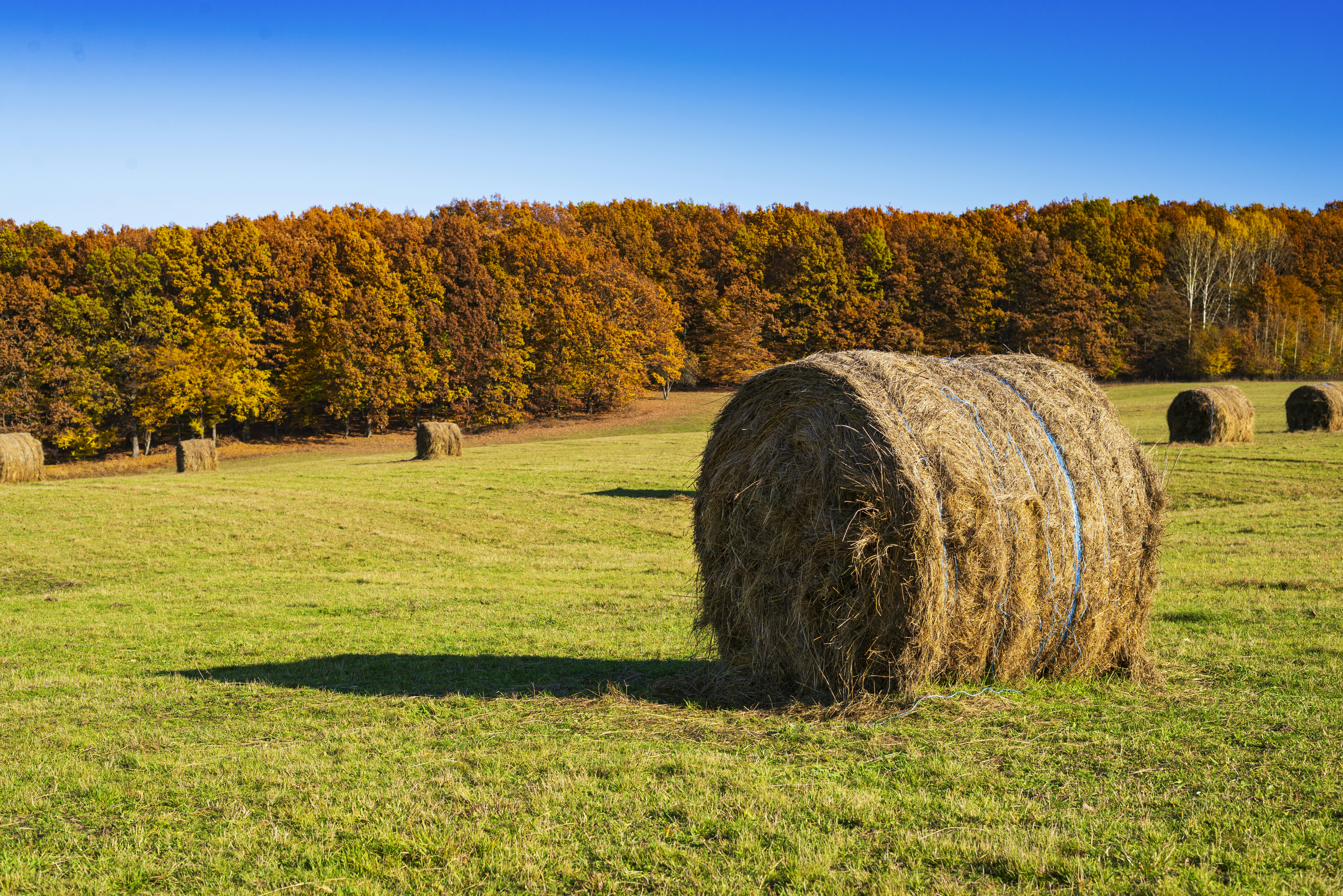 Photo by paulthephotographer