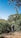 A person wearing a hat and jacket stands in a lush green plantation surrounded by tall plants, possibly banana trees, with a clear blue sky overhead.