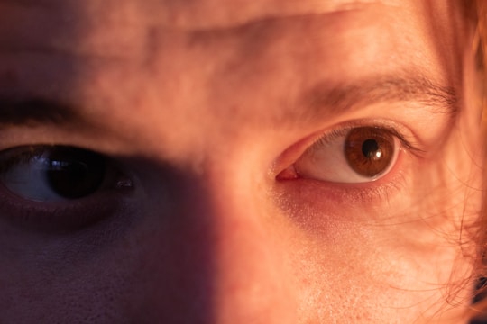Close-up portrait showing soft warm lighting and detailed hair and eyes.