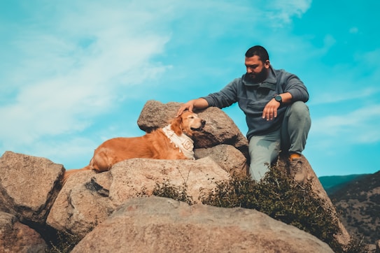 A man is crouching on a rock formation, gently petting a golden retriever lying beside him. The sky is a clear blue, and the setting appears to be outdoors in a natural, mountainous area.