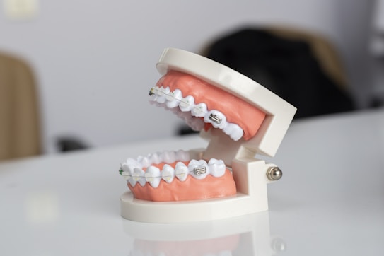 A dental model displaying a set of human teeth fitted with metal orthodontic braces. The teeth and gums are made from a synthetic material, mounted on a hinged frame, designed to simulate the human mouth.